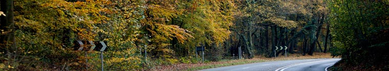 RACF banner image