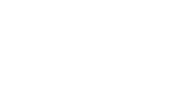 RAC Foundation